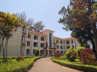 Cẩm Nang Chi Tiết Về Du Học Mỹ Từ A Đến Z